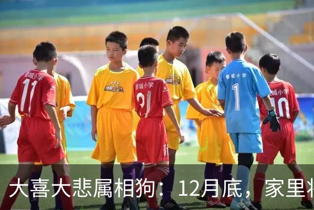 大喜大悲属相狗：12月底，家里将发生5件大事，提前准备