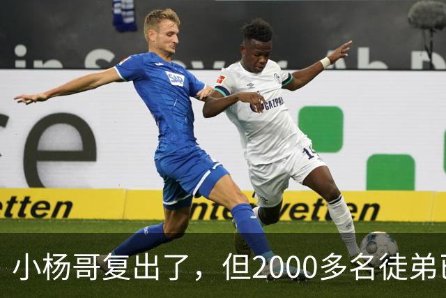 小杨哥复出了，但2000多名徒弟已经跑光了