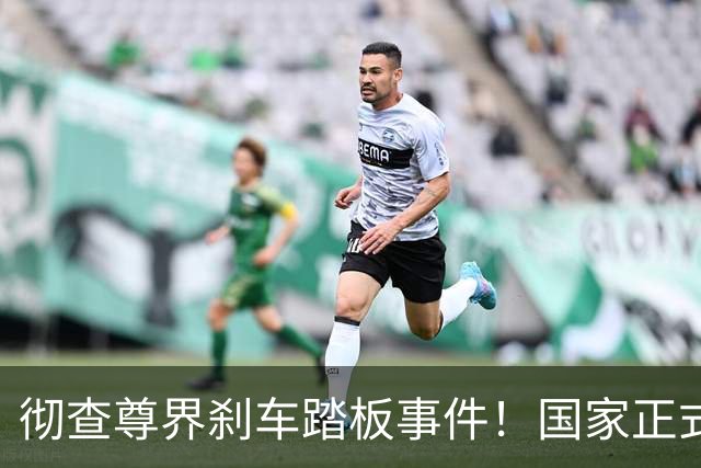 彻查尊界刹车踏板事件！国家正式下场