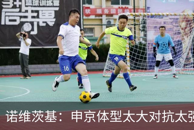 诺维茨基：申京体型太大对抗太强，马刺让他太轻松进篮下