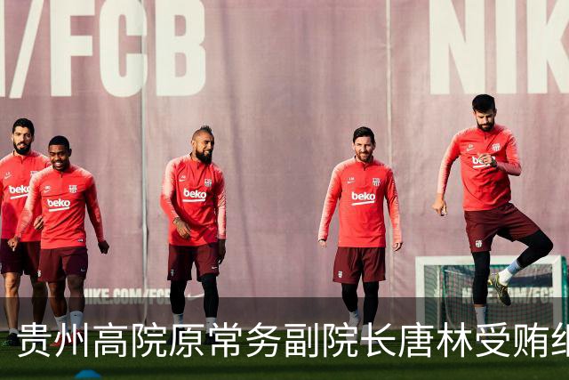 贵州高院原常务副院长唐林受贿细节曝光：一份“电冰箱市场调查报告”值330万